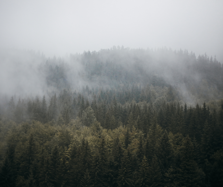 Dealing With Extreme Weather: Camping Safely