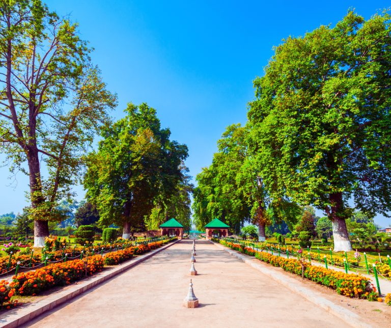 How to Reach Kashmir from Major Cities Across India: A Comprehensive Guide to Travel Options