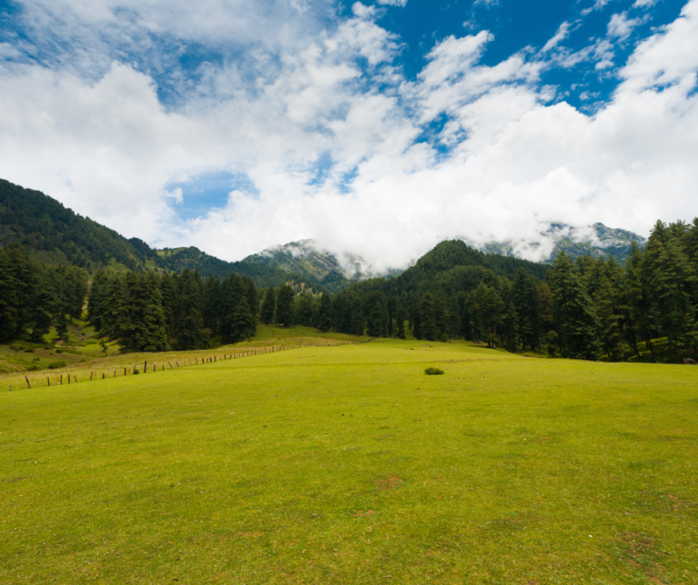 Kashmir in Summer: A Breathtaking Escape — Weather Insights, What to Pack, and Unmissable Attractions