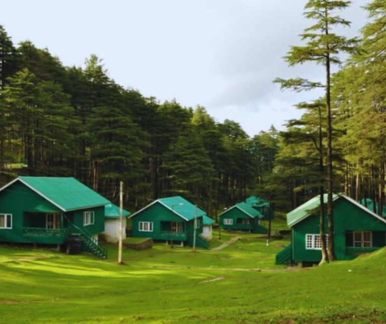 Top 10 Things to Do in Patnitop: Your Complete Travel Guide