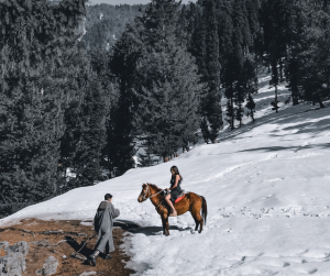 Galloping Into Paradise: The Transformative Experience of Horse Riding in Pahalgam, Kashmir