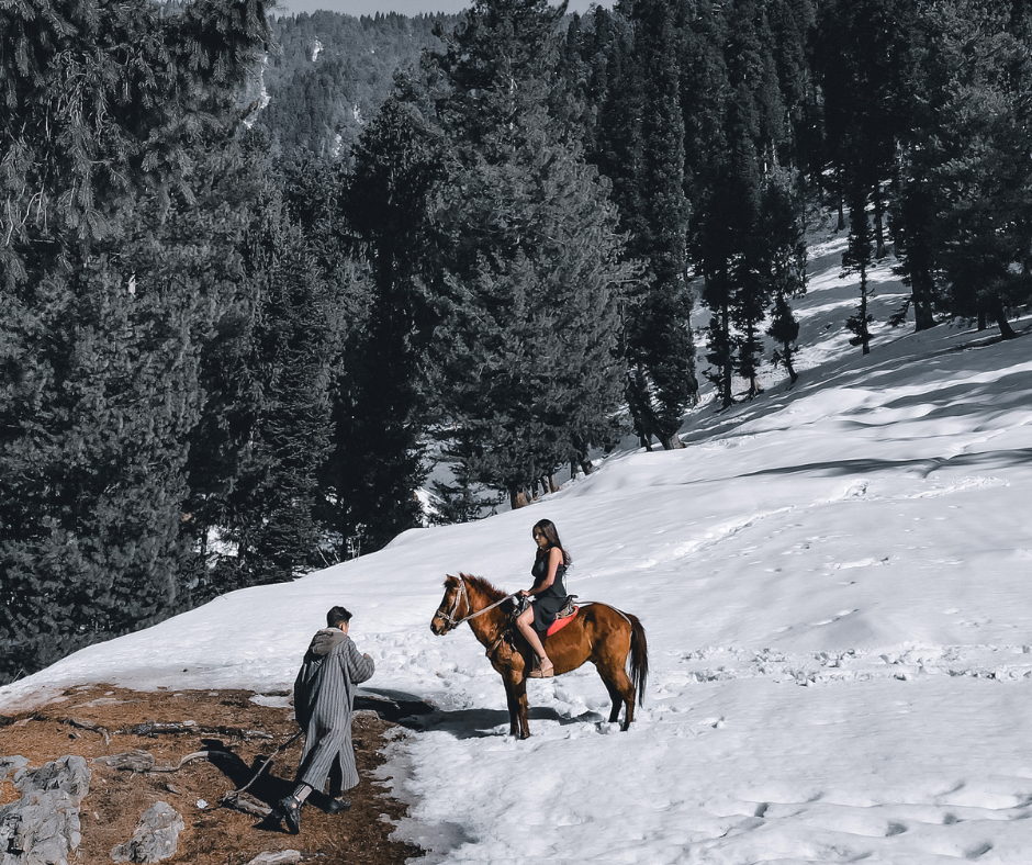 Galloping Into Paradise: The Transformative Experience of Horse Riding in Pahalgam, Kashmir