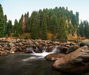 Doodhpathri: Where Every Adventure Beckons – Unleash Your Wild Spirit!