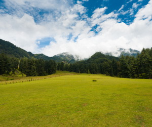Kashmir in Summer: A Breathtaking Escape — Weather Insights, What to Pack, and Unmissable Attractions