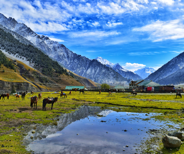 Keran Valley – Kashmir’s Whispering Frontier of Beauty and Peace