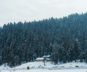 Why Kashmir Is Called the Paradise of Earth: A Living Miracle the World Must Not Forget